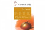 Hahnemühle, Pastellpapier Velour Tabaka 260 gsm  (50x70, Karanlıkgri, 10 tabaka, HM-10-627-606)